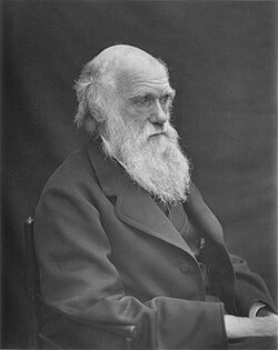 1878 Darwin photo by Leonard from Woodall 1884 - cropped grayed partially cleaned.jpg