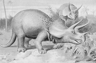 Triceratops8.jpg