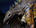 於2005年10月16日 (日) 05:15的縮圖版本