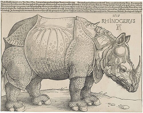 Dürer's Rhinoceros, 1515.jpg
