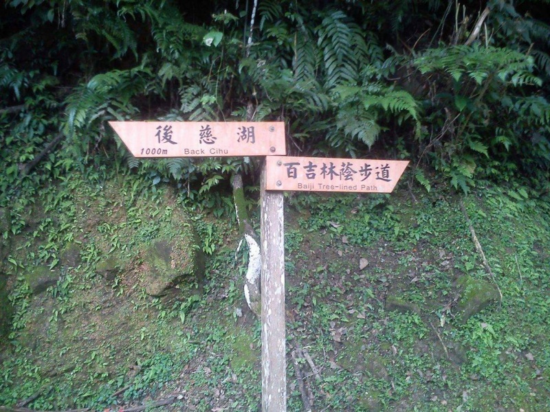 檔案:百吉步道1.jpg