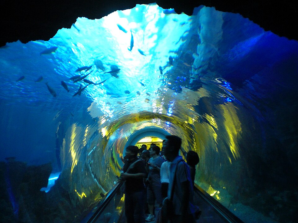檔案:ROC-NMMBA underwater tunnels inside 20130519.jpg