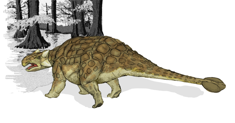 檔案:Ankylosaurus dinosaur.png