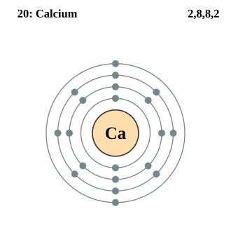 Electron shell 020 Calcium.svg