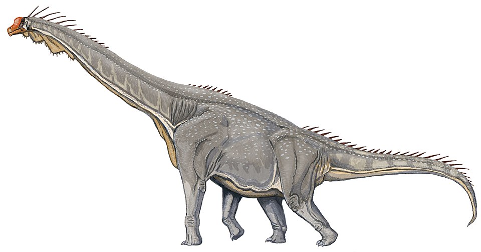 檔案:Brachiosaurus DB.jpg
